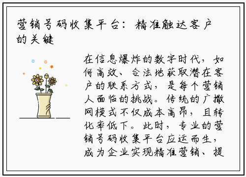 营销号码收集平台：精准触达客户的关键利器